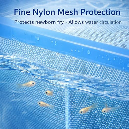 petzlifeworld FS-01 Fish Tank Breeder Net Box with Suction Cups | Blue Mesh Fry Saver for Aquarium | Isolation Box for Baby, Injured & Aggressive Fish