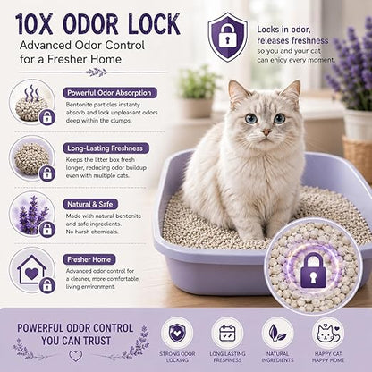 petzlifeworld Bella & Molly’s Fresh Bentonite Cat Litter 5L | 3-Second Fast Clumping | 99.9% Dust-Free | 10X Odor Lock | Long-Lasting Freshness