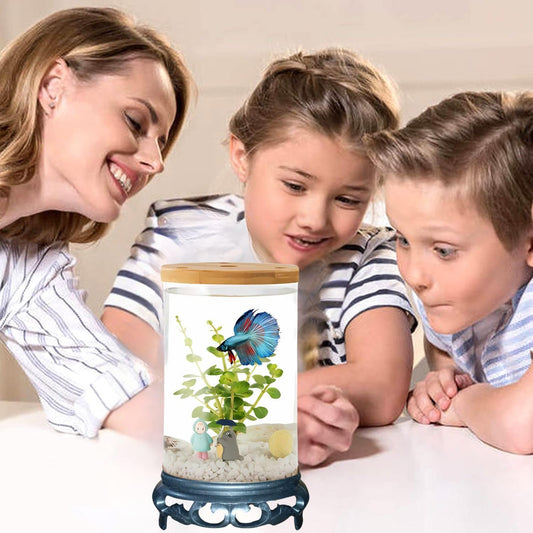 Petzlifeworld TP-10 Transparent Acyrlic Betta Tank with LED Light (WRGB) and Free 1 Plastic Plants (Maximum 1L Capacity)
