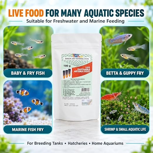 PetzLifeworld Bengal Bay 100g (0.22 Oz) Artemia Cysts - 90% Hatch Rate for Baby & Fry Fish