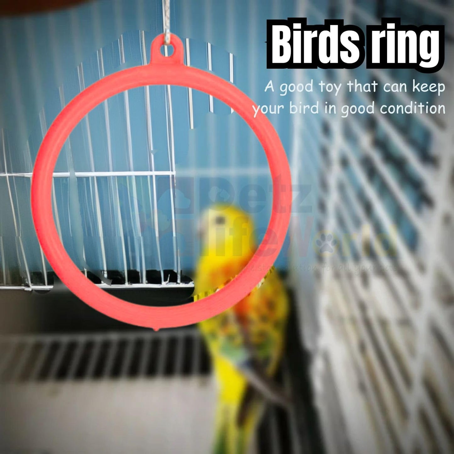 Petzlifeworld (3 Pcs) Bird Cage Hanging Toys, (2 Pcs Ring + 1 Pcs Ladder) Combo for Cockatiel, Love Bird