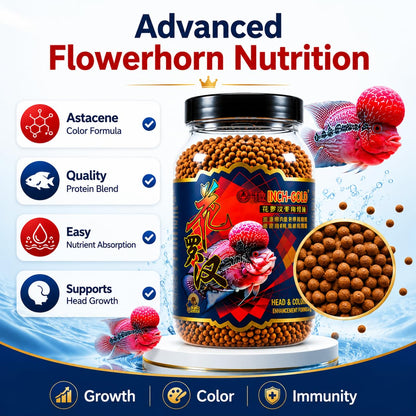 Petzlifeworld Inch Gold Flower Horn Fish Food for Head and Colour Enhancement (180 G)