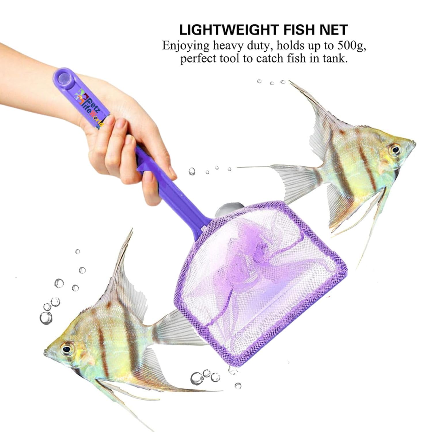 Petzlifeworld 6 Inch Purple (2 Pcs) Aquarium Fish Net, Soft Fine Nylon – PetzLifeWorld Petzlifeworld 6 Inch Purple (2 Pcs) Aquarium Fish Net, Soft Fine Nylon – PetzLifeWorld
