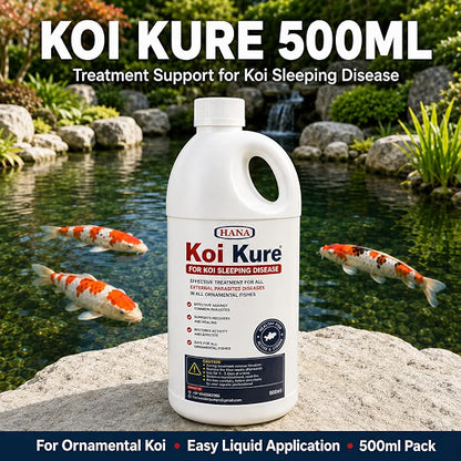 Petzlifeworld Koi Kure for Ornamental Koi Fish – 100ml & 500ml | Support for Koi Sleeping Disease | Helps Support Activity, Appetite & Recovery | Pond & Treatment Tank Use