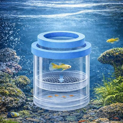 petzlifeworld Floating Fish Breeder Box for Aquarium – 10cm Double Layer Isolation Incubator with Foam Collar | Clear Fry Protection Box for Guppy, Betta & Small Fish