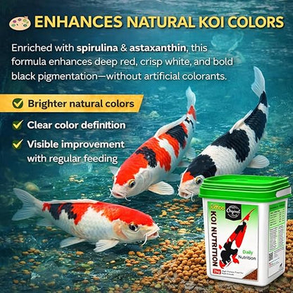 petzlifeworld Horizone Jumbo Koi Nutrition Food – 2 kg Jumbo High-Protein Floating Pellets with Spirulina & Astaxanthin | Color Enhancement & Clean Water Formula