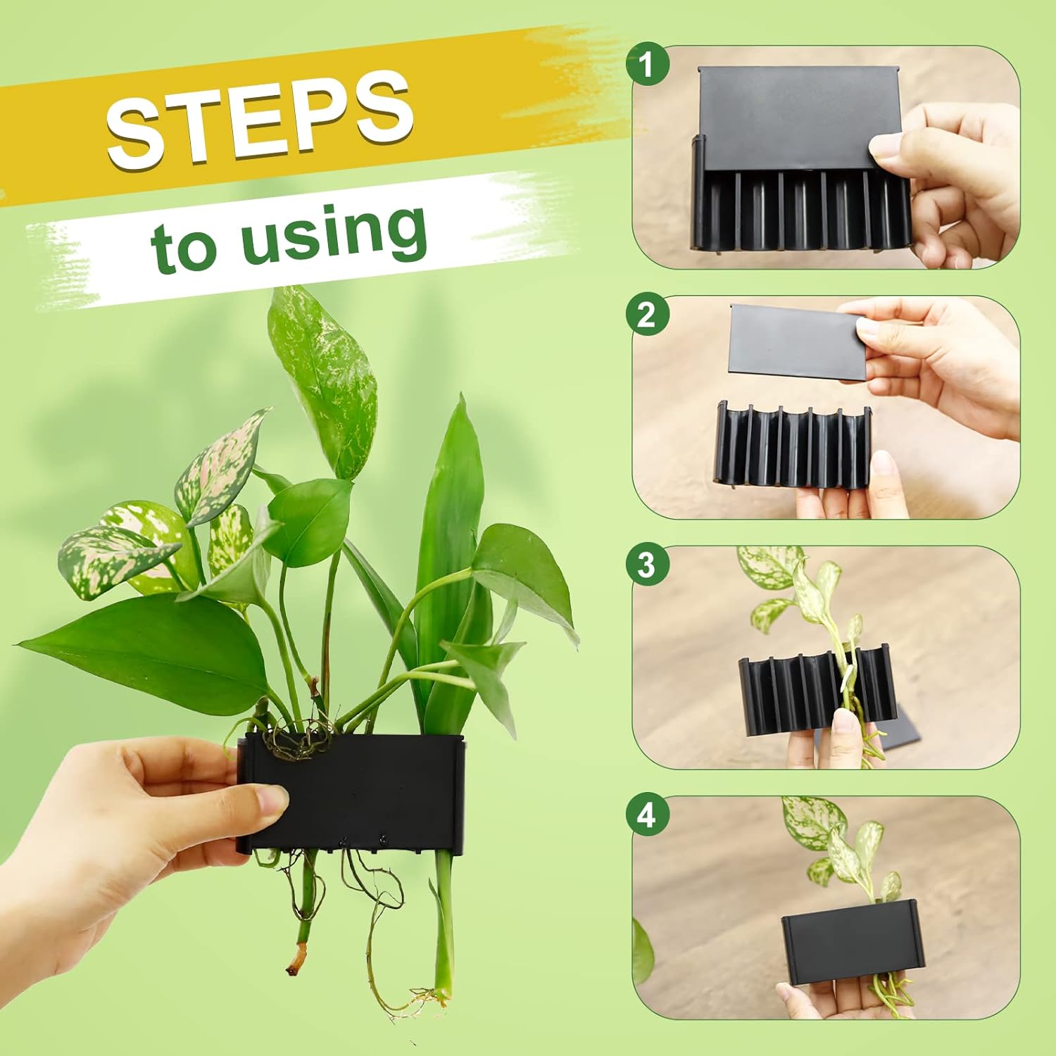 money plant with fish VAYINATO® 5 Hole Aquarium Fish Tank Water Plant and Indoor Money Plast – PetzLifeWorld