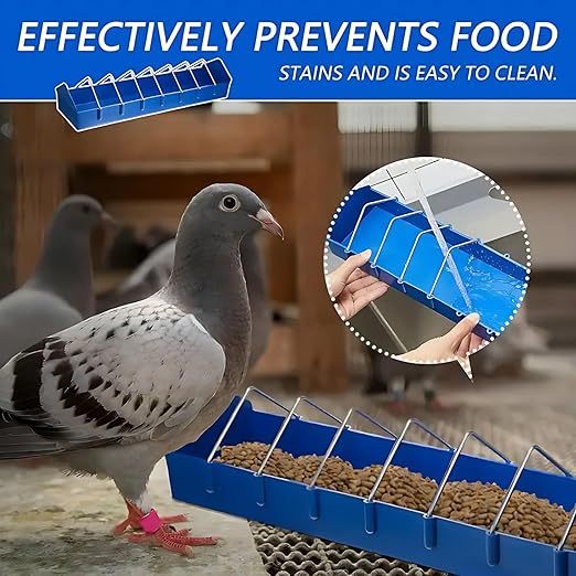 petzlifeworld Plastic Poultry Food Tray for Pigeon, Chicken and Pets Garden Outdoor Use Ground Bird Feeder (Blue),40 cm,H_5 cm,W_8 cm