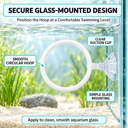 Petzlifeworld Aquarium Fish Training Ring 4cm Dia with Suction Cup | Interactive Swimming Hoop & Obstacle Course Toy for Betta, Guppy & Small Fish