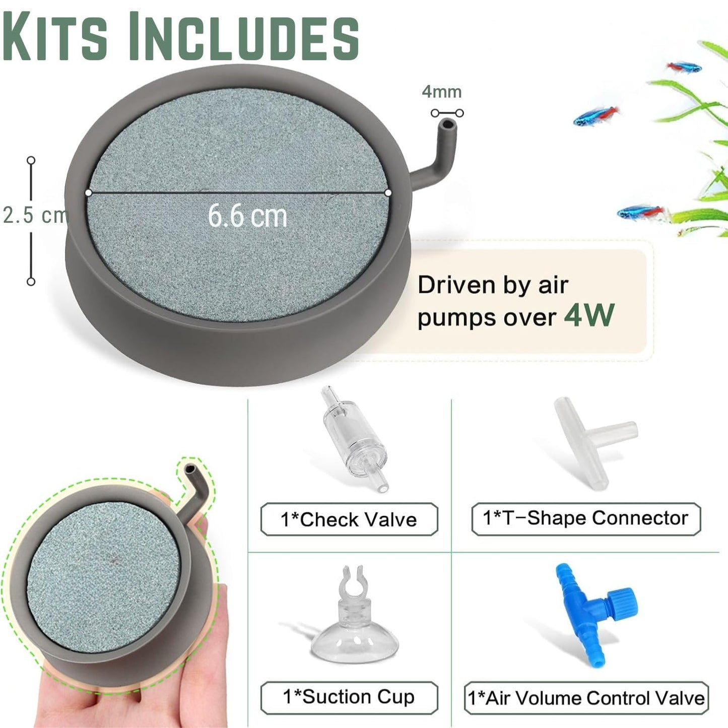 Petzlifeworld Stainless Steel (Round) Aquarium Air Plate & Bubble Diffuser