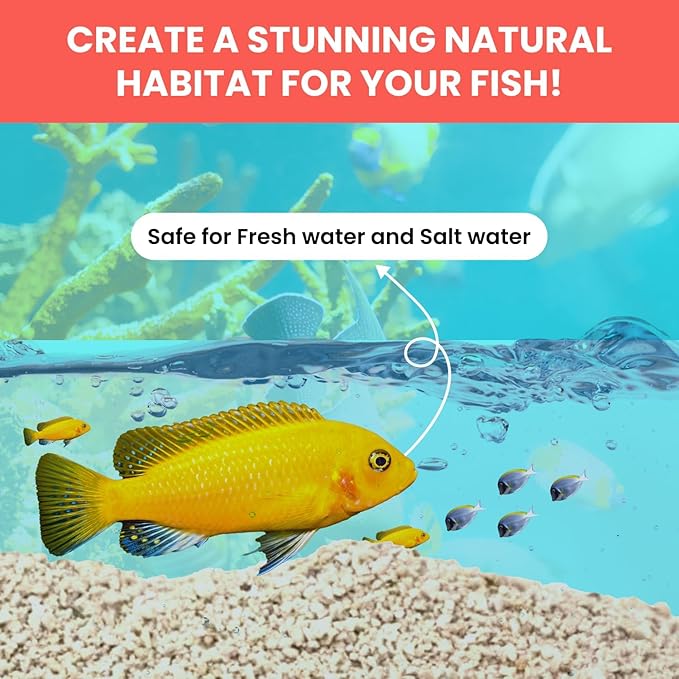 PetzLifeworld Aquarium Aragonite White Sand | Natural pH-Buffering Substrate for Marine, Cichlid, Freshwater & Saltwater Aquariums