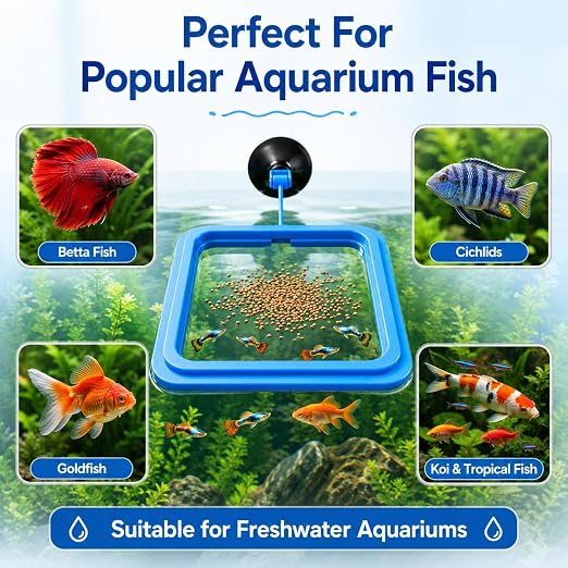 PetzLifeworldPlastic Fish Feeder for Aquarium Tank Floating Food Feeding Ring, Square - Aquarium Fish Tank Accessories Cichild, Beta, Goldfish, Spirulina and Koi Pond - with Suction Cup