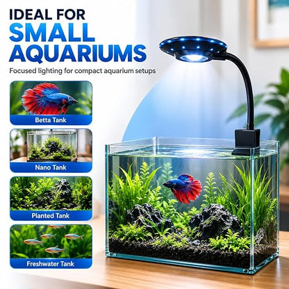 petzlifeworld FD-001 UFO Clip LED Aquarium Light | 3 Mode Fish Tank Light | 360° Flexible Gooseneck | DC 5V USB Powered | Fits 3–5mm Glass | for Betta, Nano & Planted Aquariums