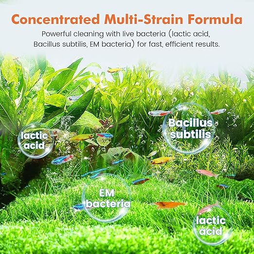 Ocean Free Super Battle Bacteria  – High Concentrated Beneficial Bacteria for Saltwater and Fresh Water Aquarium & Pond, Sludge & Odor Reduction and Makes Crystal Clear Aquarium