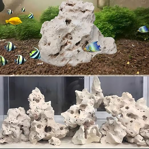 PetzLifeworld Natural White Sansibar Stone – Premium Aquarium Decoration for Marine & Cichlid Fish Tanks
