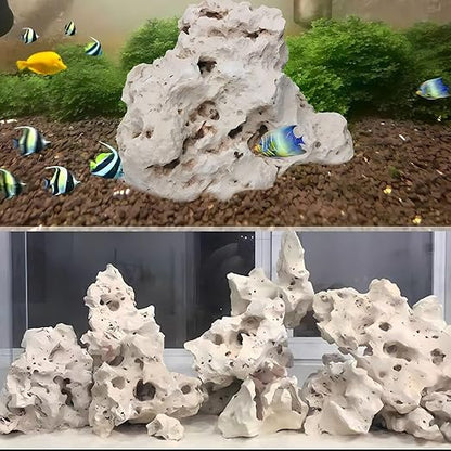 PetzLifeworld Natural White Sansibar Stone – Premium Aquarium Decoration for Marine & Cichlid Fish Tanks