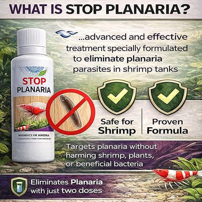 Aquatic Remedies Stop Planaria 60ml | Powerful Planaria Treatment for Shrimp Tanks | Plant & Shrimp Safe | Made in India