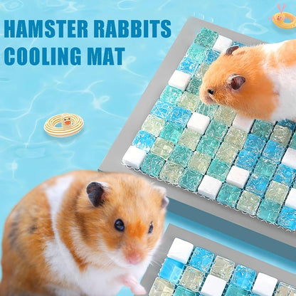 Petzlifeworld 1 Pcs (10*10 Cm) Crystal Mat Cooling Board for Hamsters & Rabbit