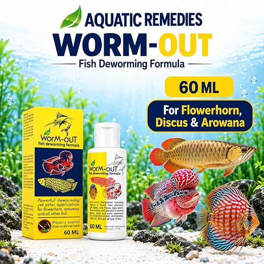 Aquatic Remedies Worm-Out Fish Deworming Formula, 60ML for Flower Horn, Discus, Arowana and All Other Fish