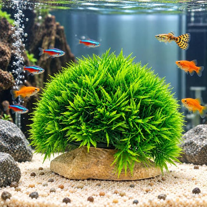 Petzlifeworld Artificial Aquarium Grass Plant with Stone Base | Green Fish Tank Decoration