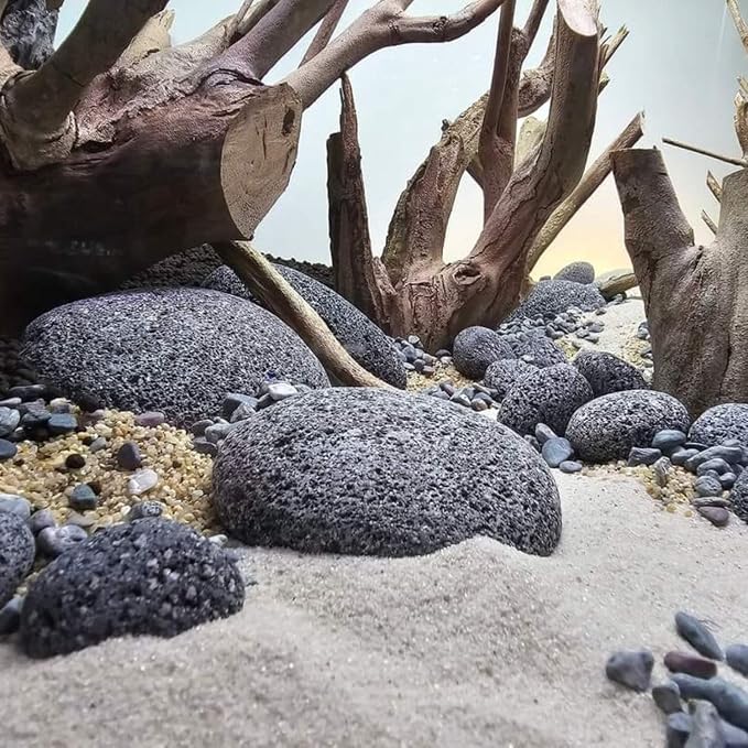 Petzlifeworld Black Lava Pebbles 10–15 cm | Natural Volcanic Stones for Aquarium, Garden, Plant Pots, Fire Pit & Home Décor | Large Decorative Lava Rocks for Landscaping & Aquascaping
