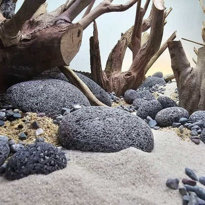 Petzlifeworld Black Lava Pebbles 10–15 cm | Natural Volcanic Stones for Aquarium, Garden, Plant Pots, Fire Pit & Home Décor | Large Decorative Lava Rocks for Landscaping & Aquascaping