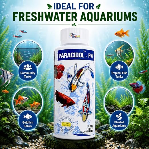 Petzlifeworld Aquatic remedies Paracidol  for Fresh Water Aquarium | Complete Fish Care | Healthy Fish, Healthy Aquarium