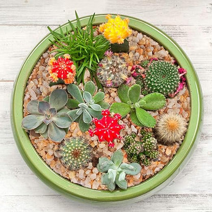 petzlifeworld Natural Decorative Mini River Rock Stones Small Chips Aquarium Gravel Top Dressing Terrarium Sand for Potted Plants, Aquariums, Lanscaping (Gold Sand )