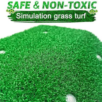 Petzlifeworld Acrylic (CP-120) Turtle Basking Platform Simulation Grass Tortoise Resting Terrace with Artificial Lawns Turtle Ramp Climbing Ladder Decor with Suction Cup