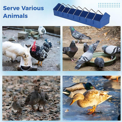 petzlifeworld Plastic Poultry Food Tray for Pigeon, Chicken and Pets Garden Outdoor Use Ground Bird Feeder (Blue),40 cm,H_5 cm,W_8 cm