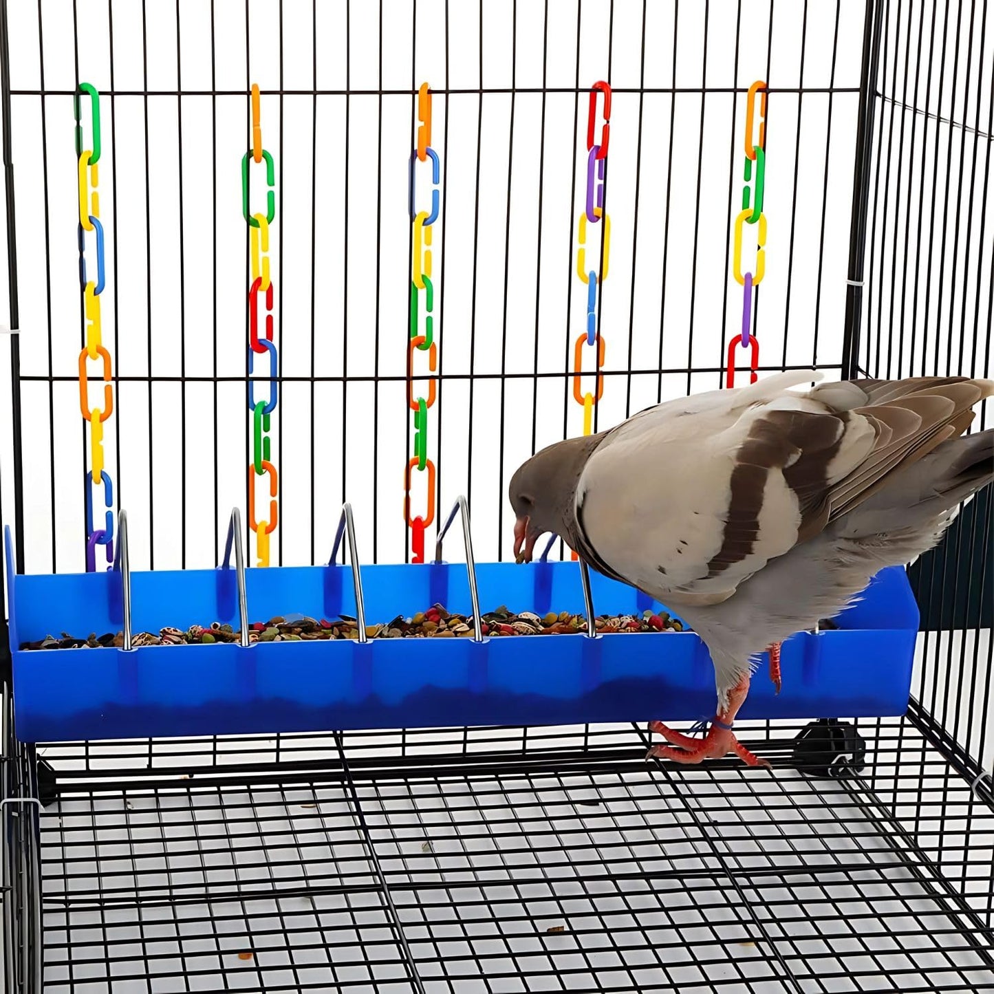 petzlifeworld Plastic Poultry Food Tray for Pigeon, Chicken and Pets Garden Outdoor Use Ground Bird Feeder (Blue),40 cm,H_5 cm,W_8 cm