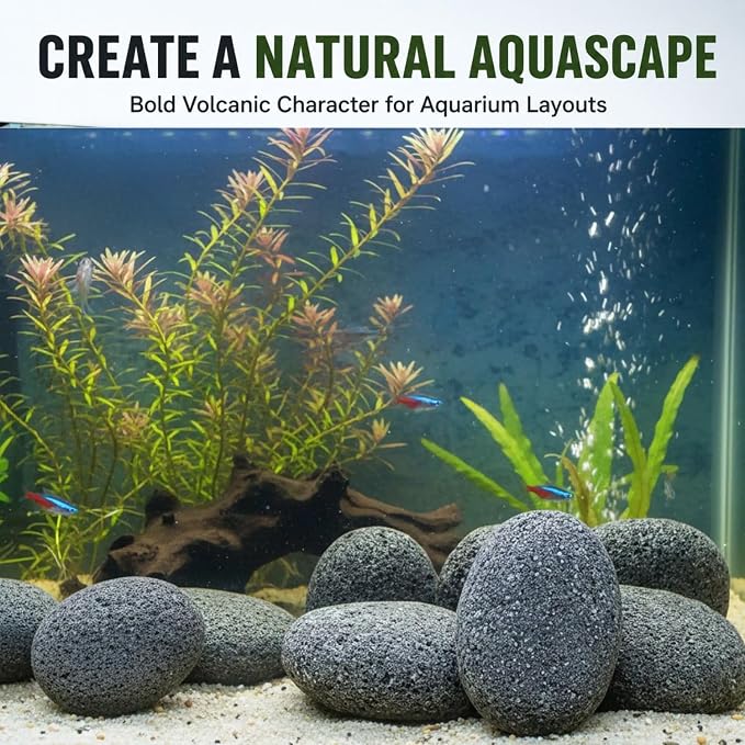 Petzlifeworld Black Lava Pebbles 10–15 cm | Natural Volcanic Stones for Aquarium, Garden, Plant Pots, Fire Pit & Home Décor | Large Decorative Lava Rocks for Landscaping & Aquascaping
