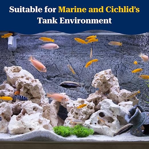 PetzLifeworld Natural White Sansibar Stone – Premium Aquarium Decoration for Marine & Cichlid Fish Tanks
