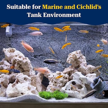 PetzLifeworld Natural White Sansibar Stone – Premium Aquarium Decoration for Marine & Cichlid Fish Tanks