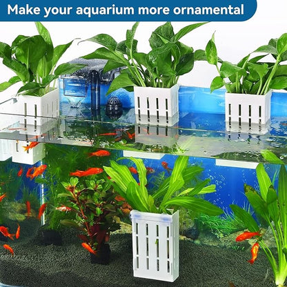 Petzlifeworld 2 Pcs White Hanging Water Plant Holder (Box Type) Pot for Aquarium Fish Tank, Aquaponics and Hydroponics with Hooks and Suction Cups for Easy Installation