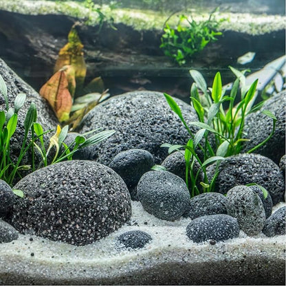 Petzlifeworld Black Lava Pebbles 10–15 cm | Natural Volcanic Stones for Aquarium, Garden, Plant Pots, Fire Pit & Home Décor | Large Decorative Lava Rocks for Landscaping & Aquascaping