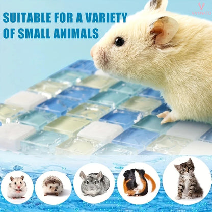 Petzlifeworld 1 Pcs (10*10 Cm) Crystal Mat Cooling Board for Hamsters & Rabbit