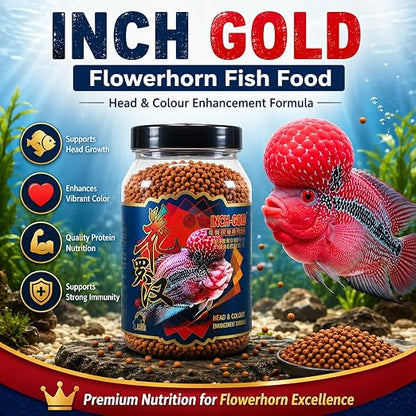 Petzlifeworld Inch Gold Flower Horn Fish Food for Head and Colour Enhancement (180 G)