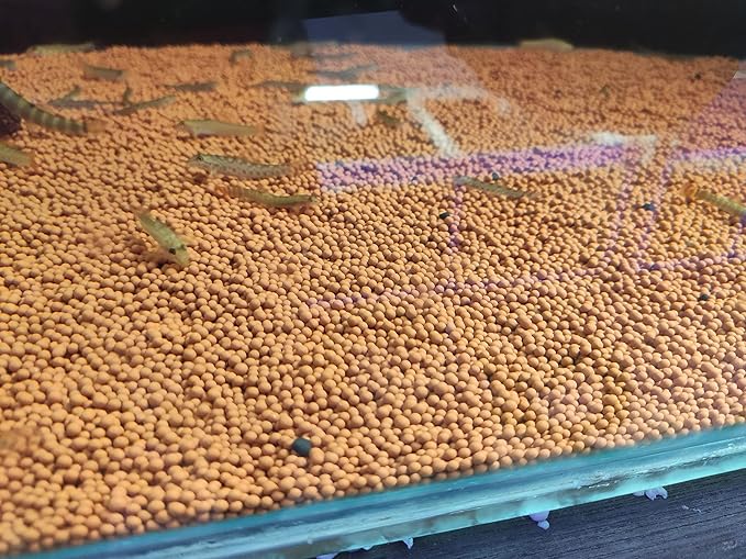 Petzlifeworld  (2MM) Aqua Clean Balls for Aquarium Gravel Brown Colour Aquarium Substrate