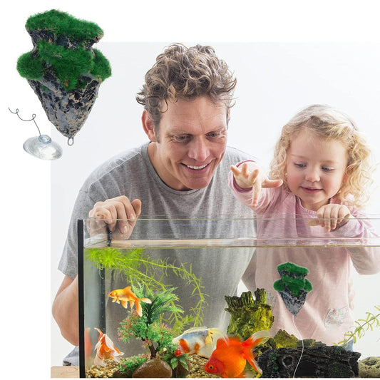Petzlifeworld Artificial Summersible Rock Ornament for Aquarium Decoration