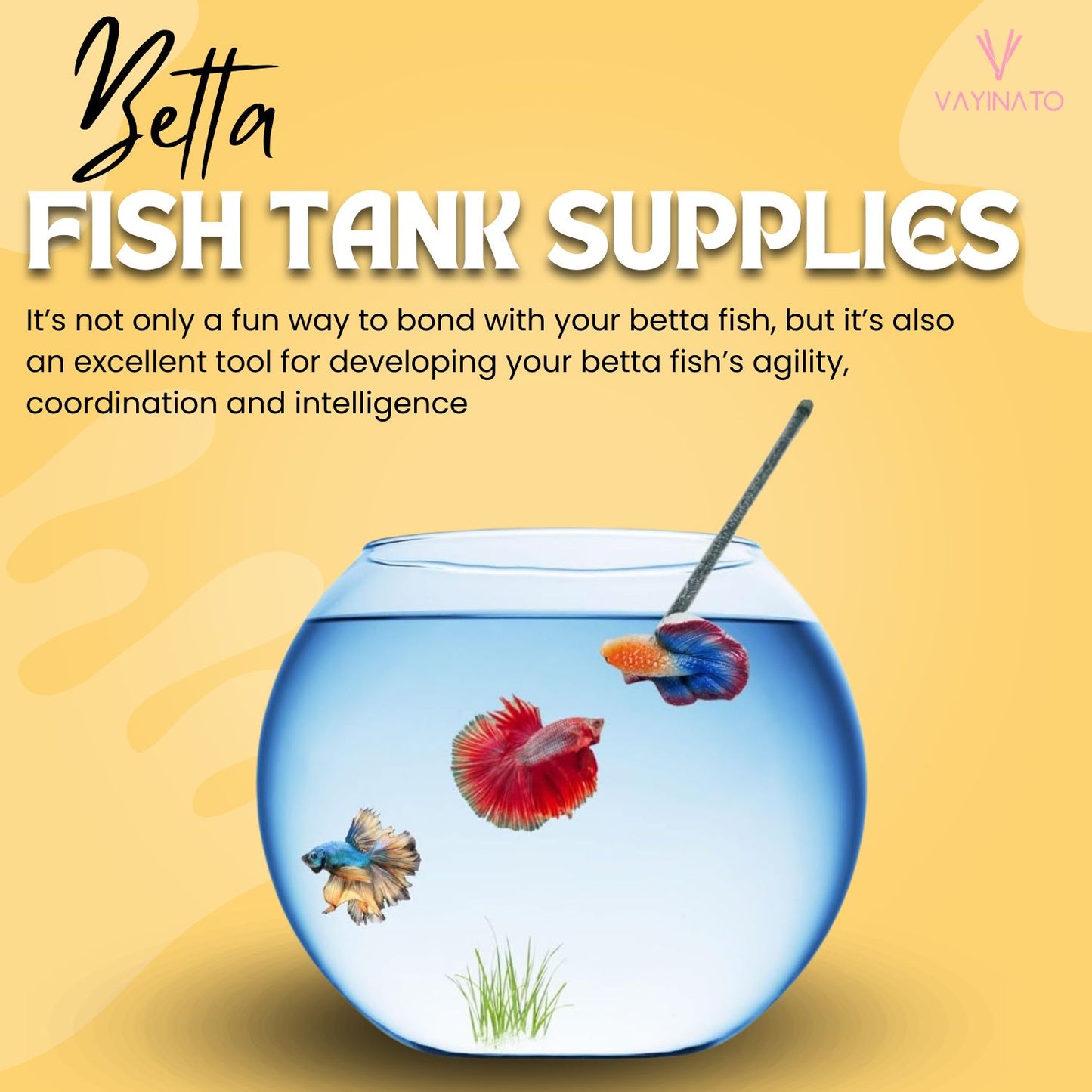Petzlifeworld 1 Pcs Betta Training Stick for Betta Fish Stress Reduction (Random Color)