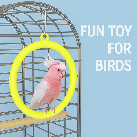 Petzlifeworld Bird Cage Swing Toy (Pack of 3) – Random Color Plastic Hanging Rings for Cockatiel, Budgie, Lovebird, Finch, Sparrow, Conure – Interactive Cage Accessories