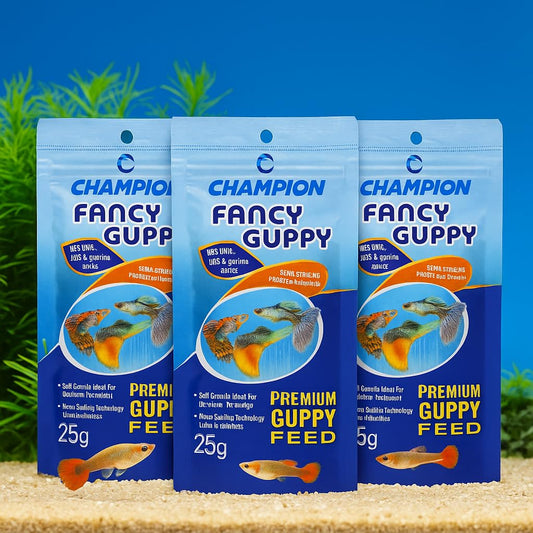 PetzLifeWorld Champion Guppy Food - 25g Pack of 3 | Premium Micropellet Fish Feed for Guppies | Semi-Floating, Protein-Rich Granules for Growth & Color