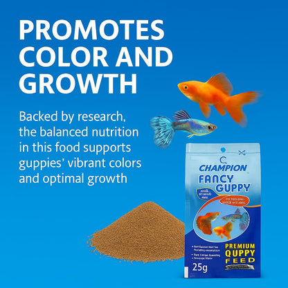PetzLifeWorld Champion Guppy Food - 25g Pack of 3 | Premium Micropellet Fish Feed for Guppies | Semi-Floating, Protein-Rich Granules for Growth & Color