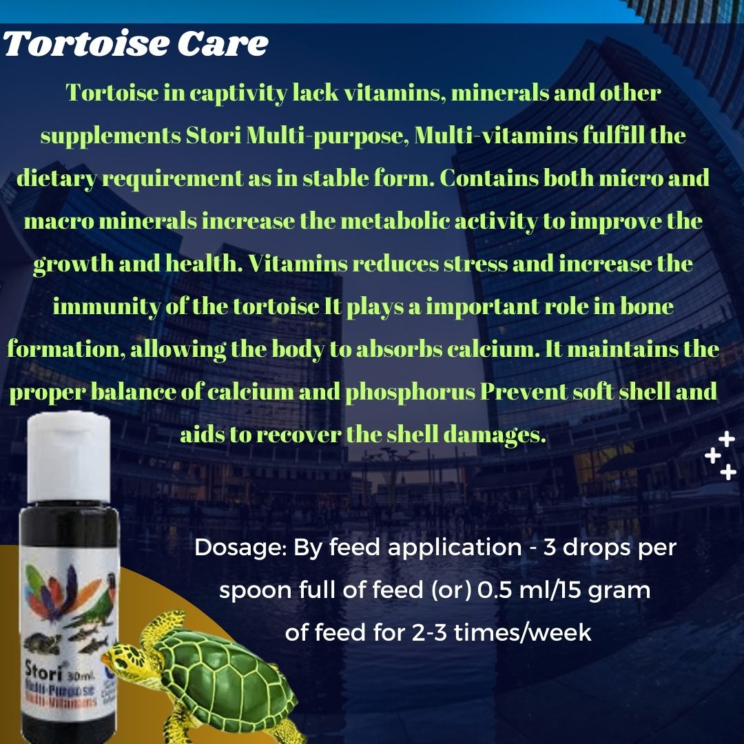 Stori Multi Purpose Turmeric Infused Multi Vitamin for Fish, Birds and Tortoise, 30ML | Improve Colour, Immunity and Growth | Pack of 2 * 30ML - 60ML…