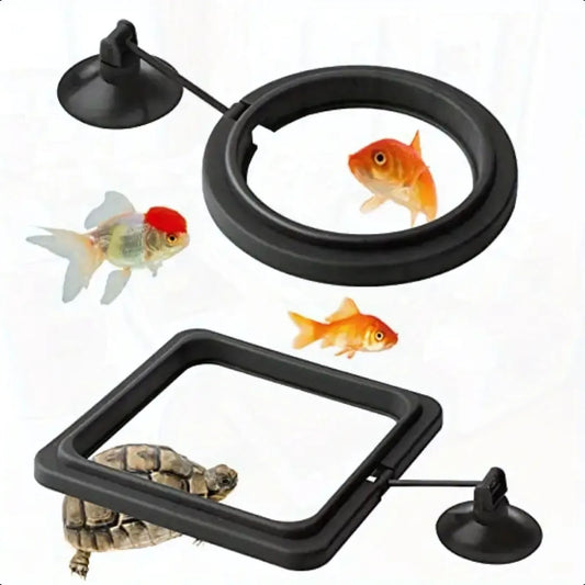 petzlifeworld 2 Pcs Fish Feeding Ring (Round, Square) Black Food Feeder with Strong Suction Cup, Reducing Waste and Maintaining Water Quality | Plastic for Guppy, Bettas, Goldfish