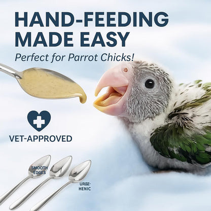 PetzLifeWorld 3PCS Stainless Steel Bird Feeding Spoons – Hand Feeding Tools for Baby Parrots, Budgies, Cockatiels | Safe, Durable, Non-Toxic | Ideal for Formula, Supplements, Meds & Daily Avian Care