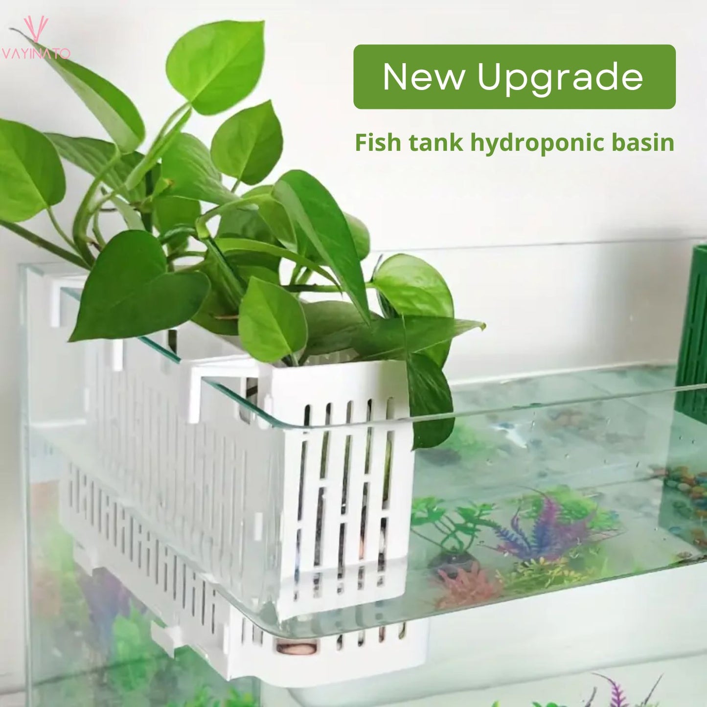 Petzlifeworld 1 Pcs White Large (Box Type) Aquarium Water Plant Holder with Hooks