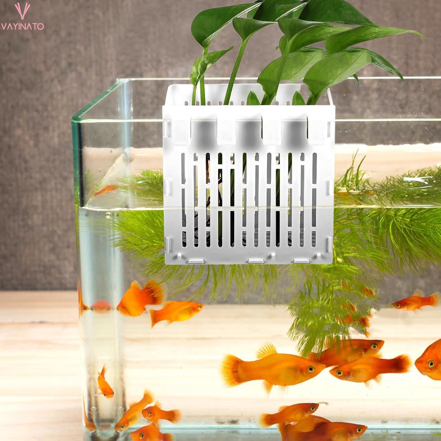 Petzlifeworld 1 Pcs White Large (Box Type) Aquarium Water Plant Holder with Hooks