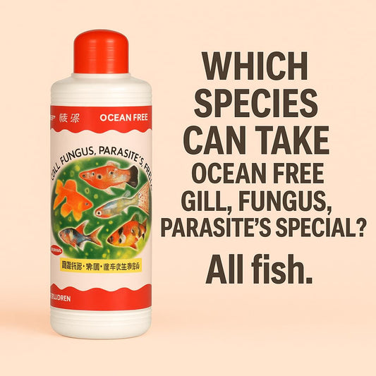 Ocean Free 240Ml Gill Fungus Special | Fast-Acting Treatment for Freshwater & Saltwater Fish | Safe for Plants